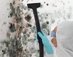 Reliable North Braddock, PA Mold Removal Solutions